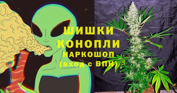гидра Алексеевка