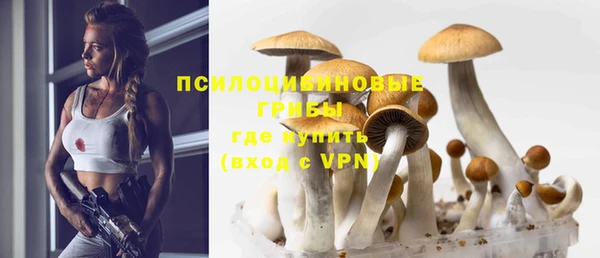 гидра Алексеевка