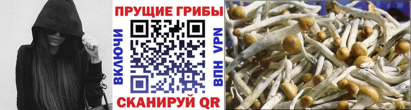 наркотики  Островной  Псилоцибиновые грибы мицелий 